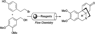 Performing Solid Phase Chemistry in Flow Chemistry Systems